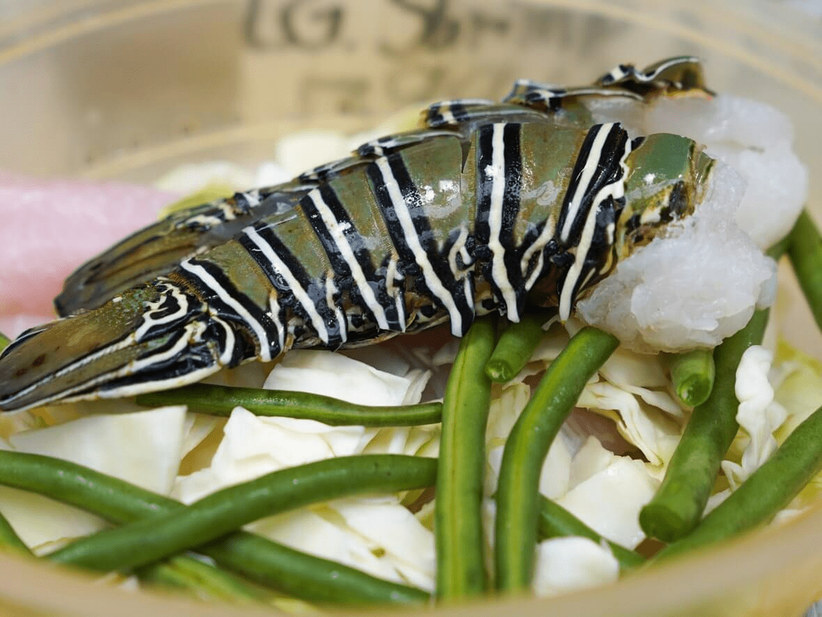 The Blue Dolphin Serves Oysters in Queens, NY 11434